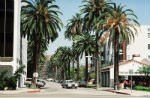 Beverly Hills Image