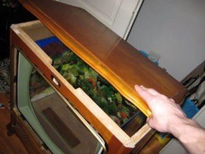 Fish Tank2 - All Green Electronics Recycling