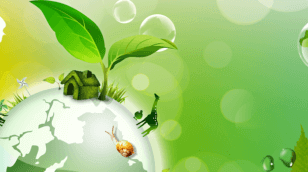 recycling-environment-image